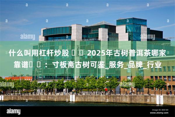 什么叫用杠杆炒股 ​​2025年古树普洱茶哪家靠谱​​：寸板斋古树可鉴_服务_品牌_行业