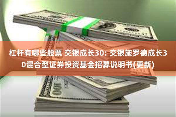 杠杆有哪些股票 交银成长30: 交银施罗德成长30混合型证券投资基金招募说明书(更新)