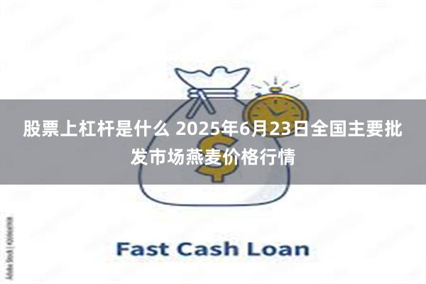 股票上杠杆是什么 2025年6月23日全国主要批发市场燕麦价格行情