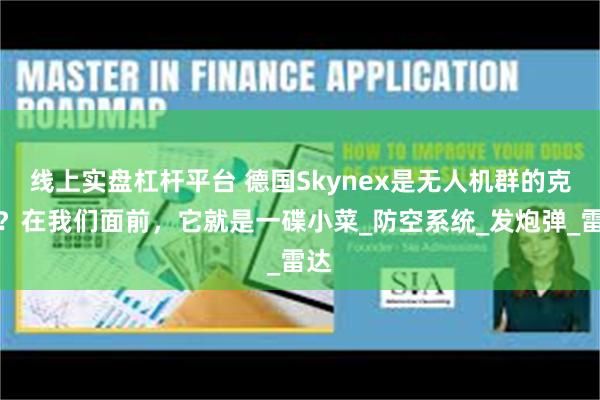 线上实盘杠杆平台 德国Skynex是无人机群的克星？在我们面前，它就是一碟小菜_防空系统_发炮弹_雷达
