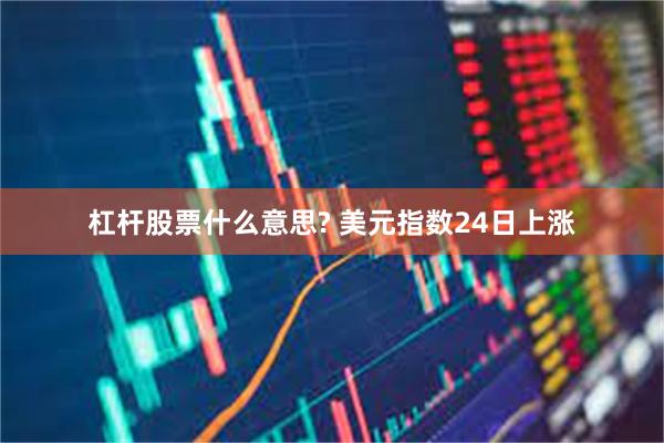 杠杆股票什么意思? 美元指数24日上涨